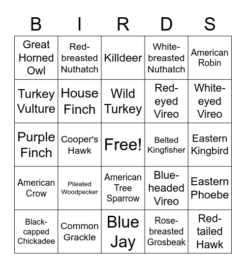 Fort Island Park Bird Bingo - Adult (Advanced) V2 Bingo Card