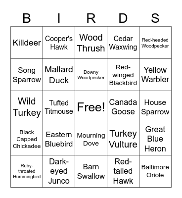Fort Island Park Bird Bingo - Adults (Beginner) Bingo Card