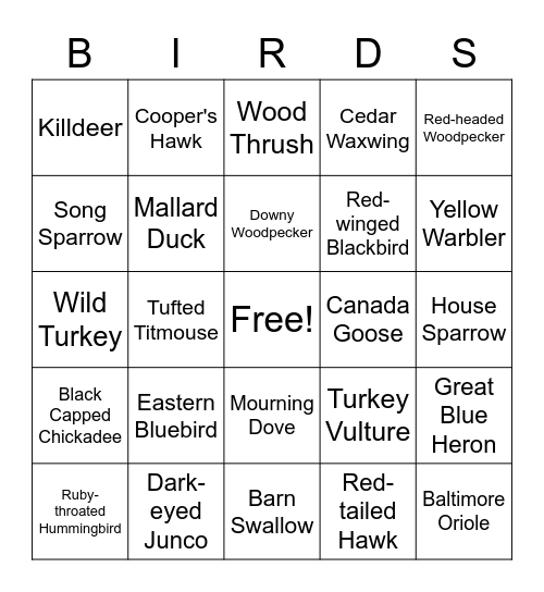 Fort Island Park Bird Bingo - Adults (Beginner) Bingo Card