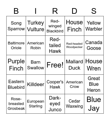 Fort Island Park Bird Bingo - Adult (Beginner) V2 Bingo Card