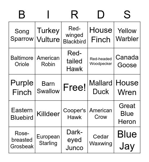 Fort Island Park Bird Bingo - Adult (Beginner) V2 Bingo Card