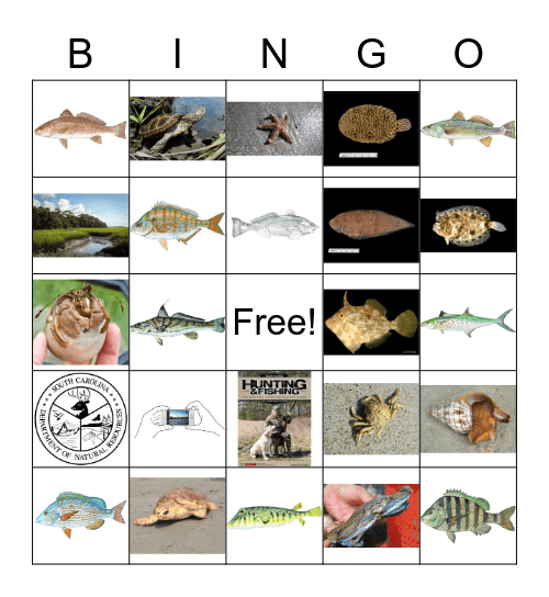 Lets Go Saltwater Fishing Bingo Card