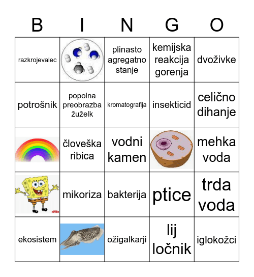 NARAVOSLOVNI Bingo Card