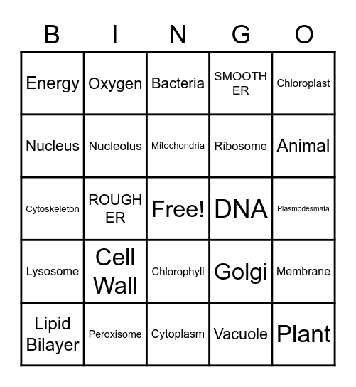 Cell Bingo Card