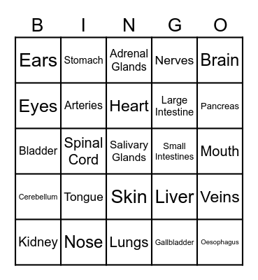 Human Organs Bingo Card