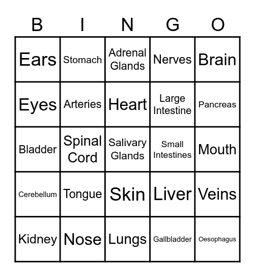 Human Organs Bingo Card