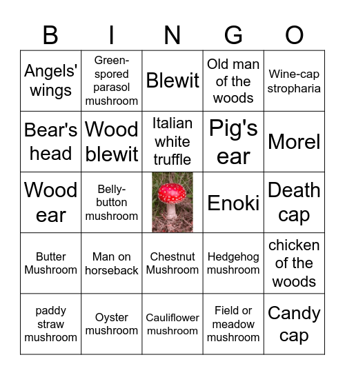 Mushrooms Bingo Card
