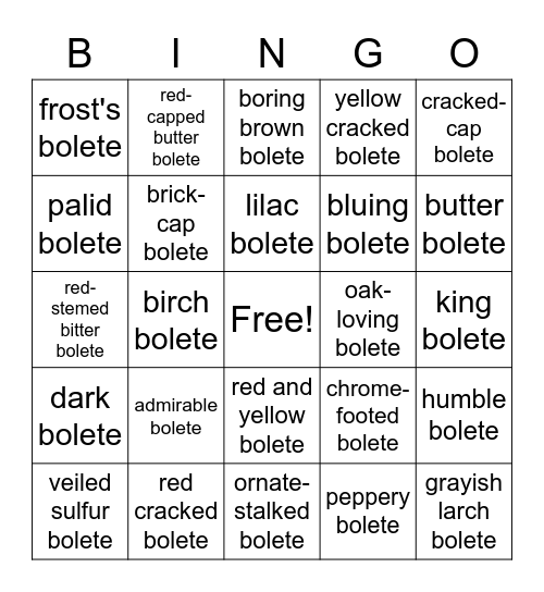 bolete bingo Card