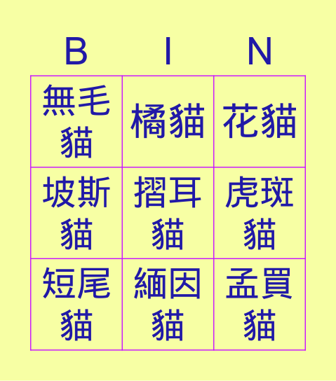 家貓品種 Bingo Card