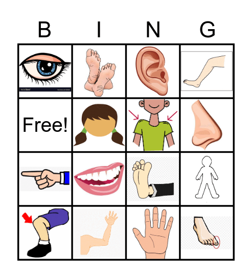 Human Body Parts Bingo Card