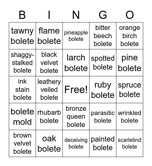 bolete Bingo 2 Bingo Card