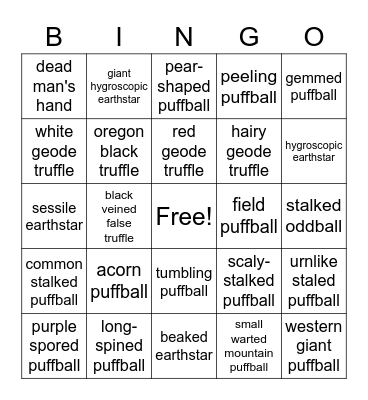 Puffball Bingo Card