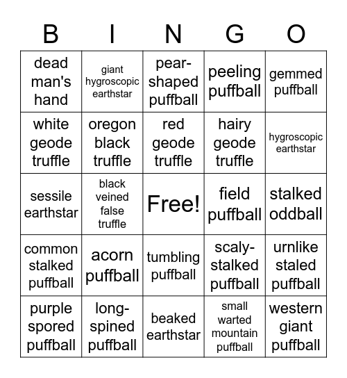 Puffball Bingo Card