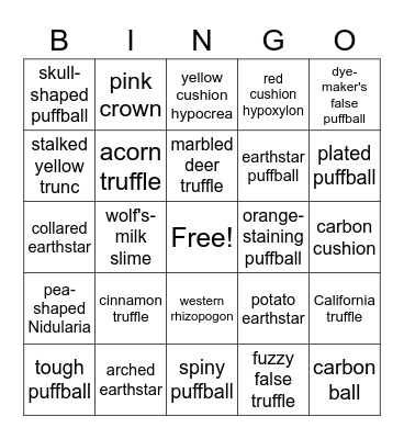 Puffball Bingo 2 Bingo Card