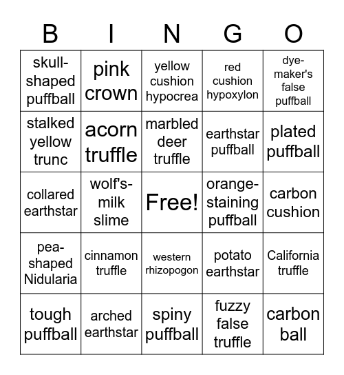 Puffball Bingo 2 Bingo Card