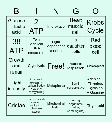 Cell Processes Bingo Card
