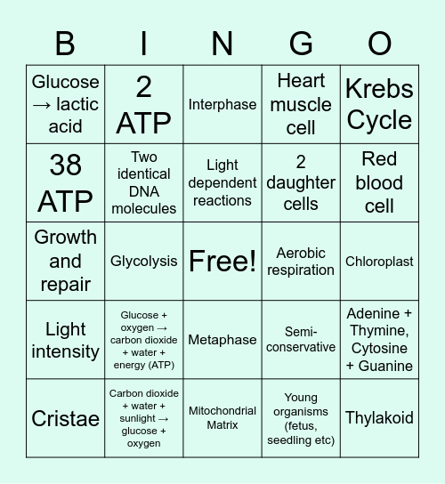Cell Processes Bingo Card