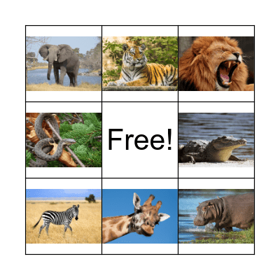 Animals Bingo Card