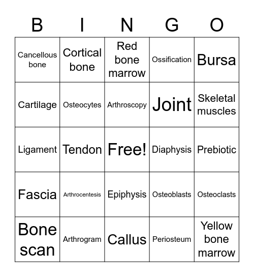 Musculoskeletal #1 Bingo Card