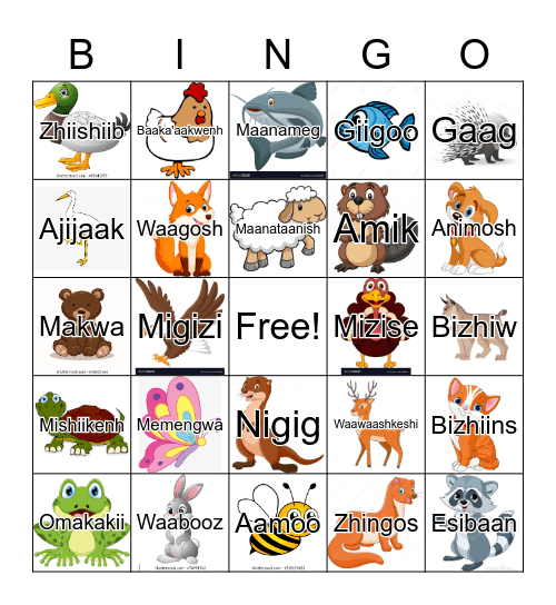 Ojibwe Bingo - Animals Bingo Card