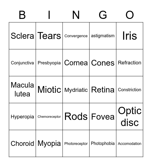 Sensory Eye Vocabulary Bingo Card