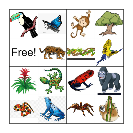 Rainforest Animals and Plants Bingo Card