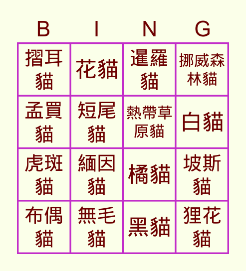 家貓品種 Bingo Card