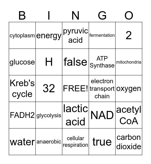 Cellular Respiration Bingo Card