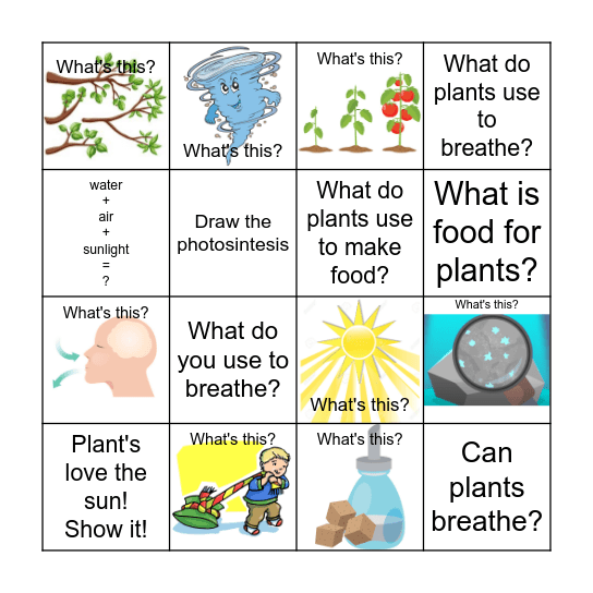 Science boarding game Bingo Card