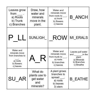q. for science group Bingo Card
