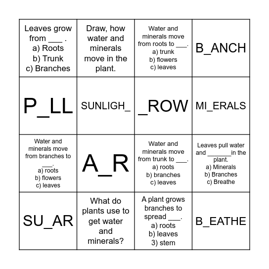 q. for science group Bingo Card