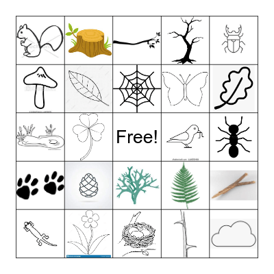 Nature Scavenger Hunt Bingo Card