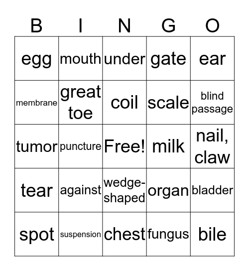 Medical Terms Lesson 5 Bingo Card