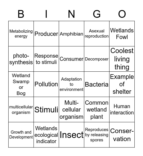Wetland Observation-You must find evidence for each term or description as you observe the wetlands area.  You may either describe or draw a detailed picture of the evidence.  You must have a BINGO for an A by the end of our quick trip!   Bingo Card