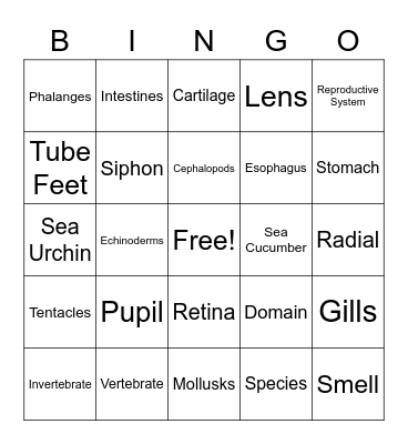 Zoology Bingo Card