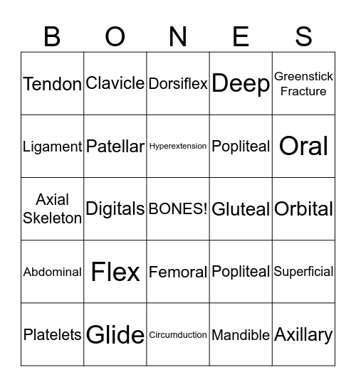 Human Anatomy Bingo Card