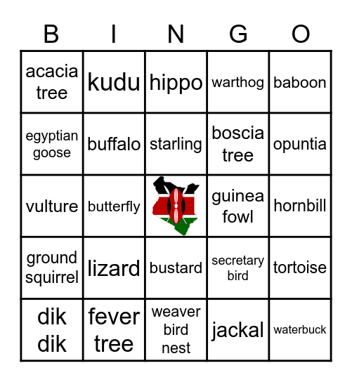 SAFARI Bingo Card