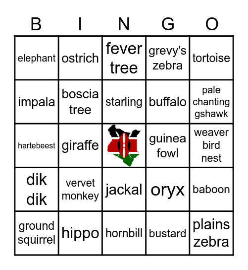 SAFARI Bingo Card