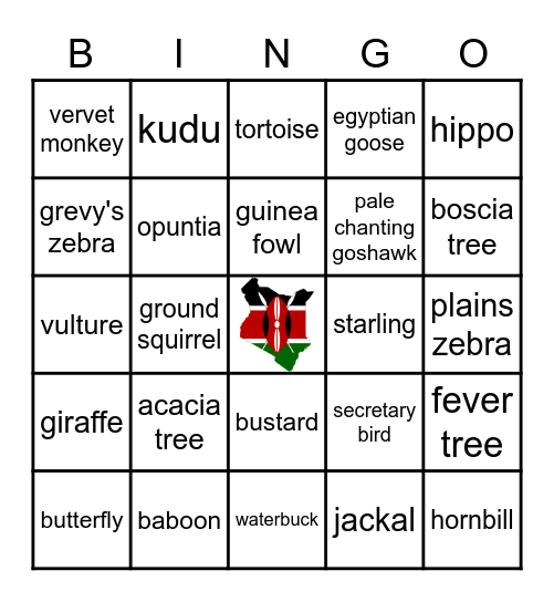 SAFARI Bingo Card