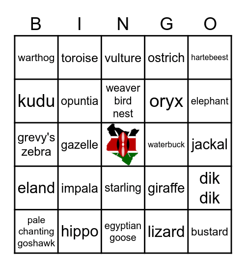 SAFARI Bingo Card