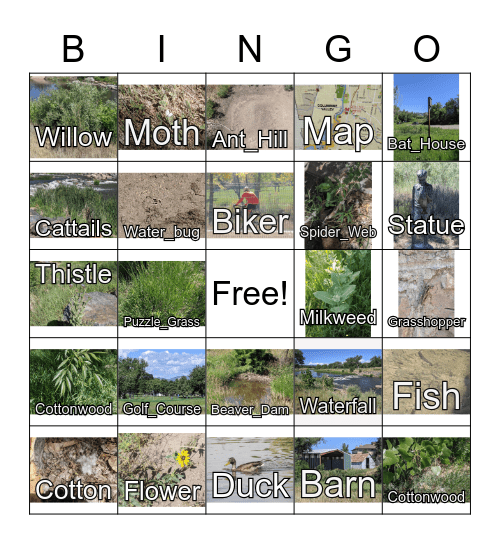 River Walk Bingo Card