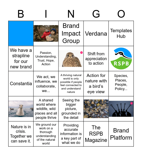Brand Bingo Card