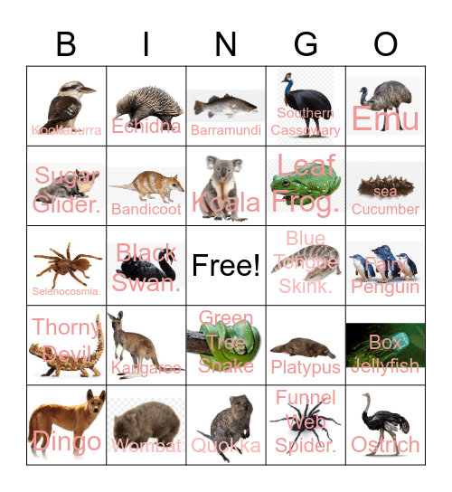 Dingo Bingo Card