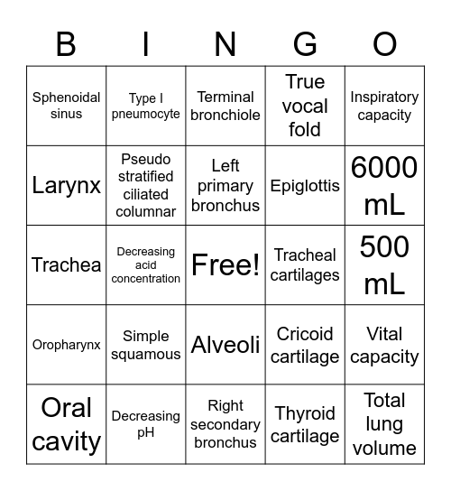 Dunston BIO 142 Respiratory Rappahannock CC Bingo Card