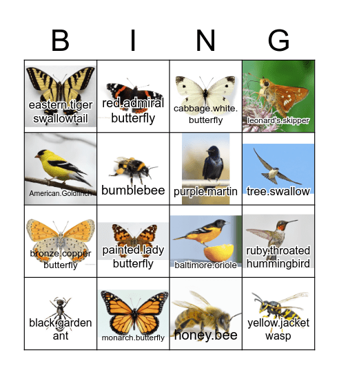 Pollinator Garden Bingo! Bingo Card