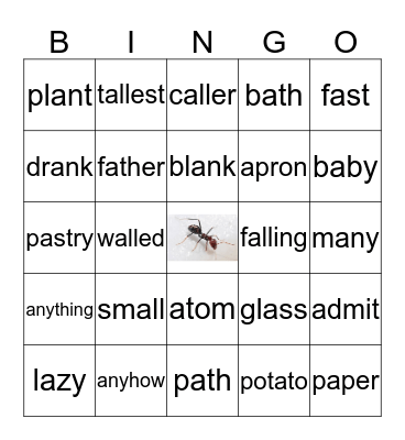 A for ant! Bingo Card