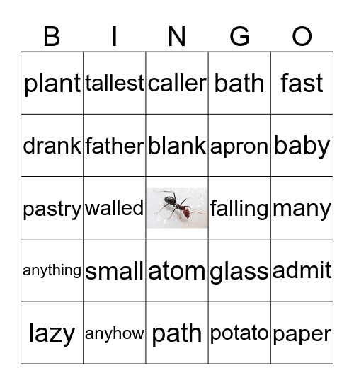 A for ant! Bingo Card