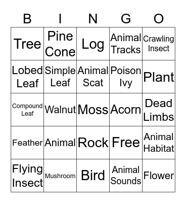 Nature Hike Bingo Card