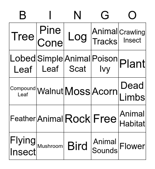 Nature Hike Bingo Card