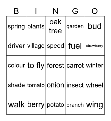 English words 6a Bingo Card